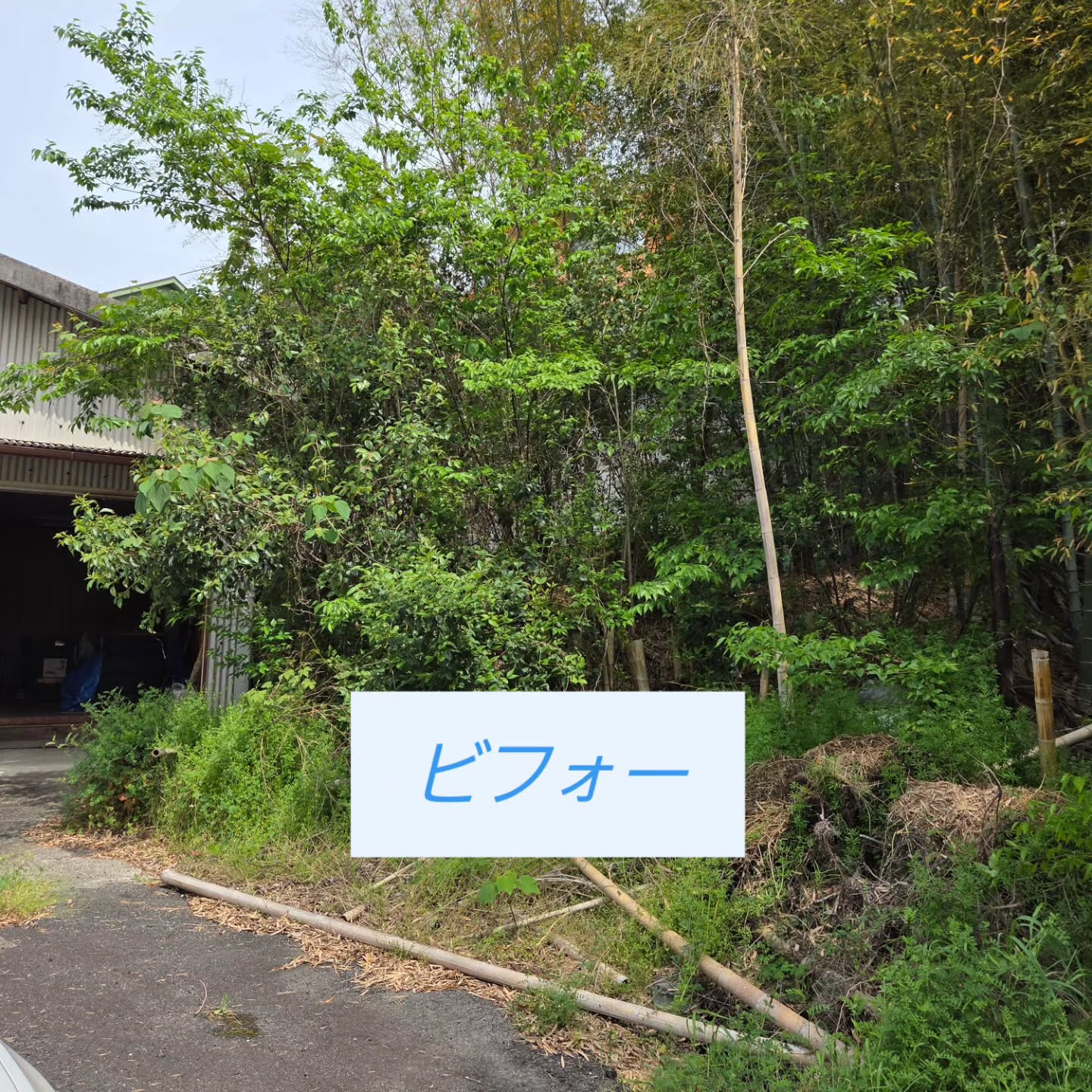 岸和田市を拠点に、近畿エリア全体で不用品回収、遺品整理、生前