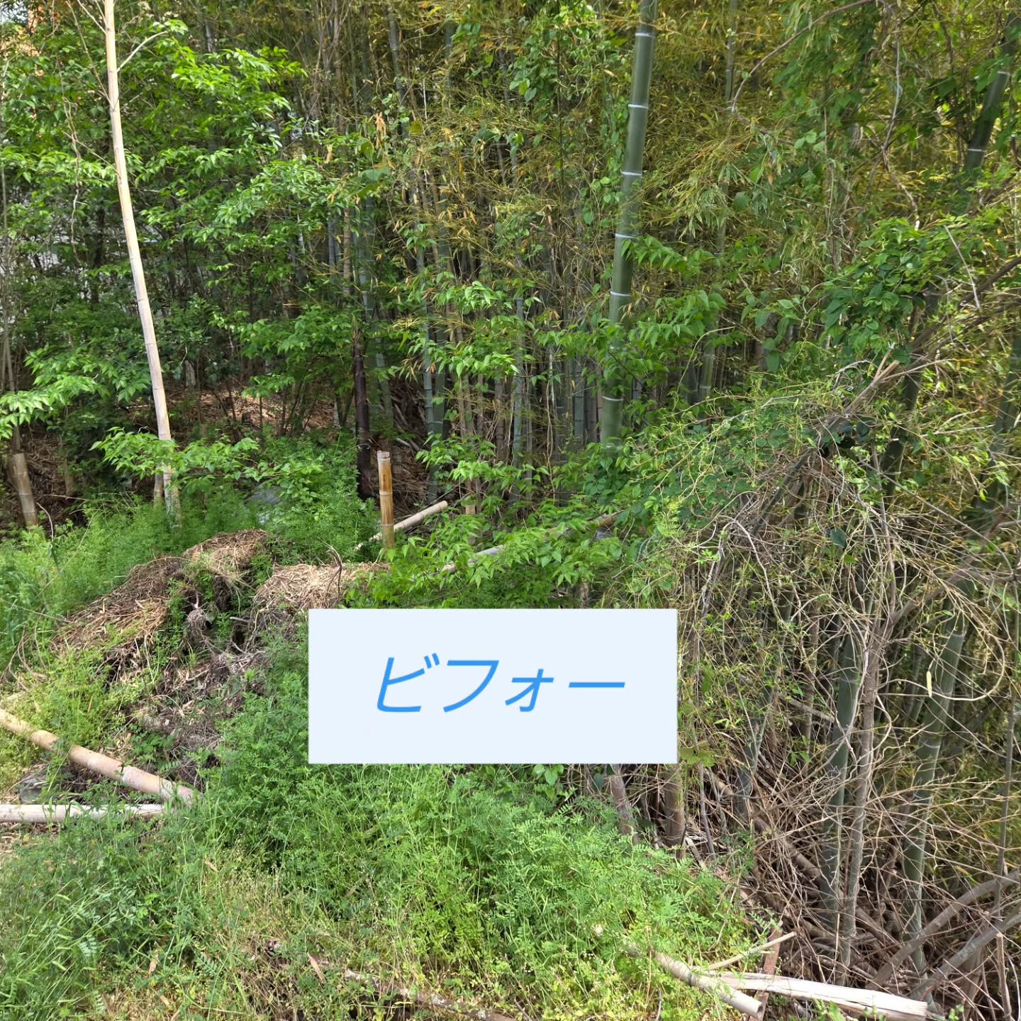 岸和田市を拠点に、近畿エリア全体で不用品回収、遺品整理、生前
